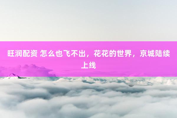 旺润配资 怎么也飞不出，花花的世界，京城陆续上线