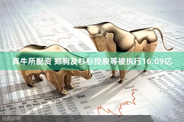 真牛所配资 郑驹及杉杉控股等被执行16.09亿