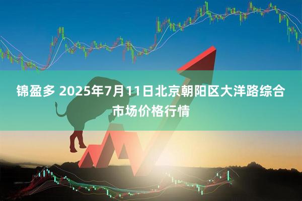 锦盈多 2025年7月11日北京朝阳区大洋路综合市场价格行情